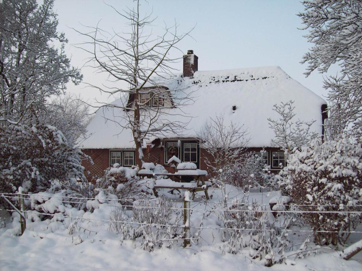 Anton'S Erfje Villa Dalfsen Eksteriør bilde
